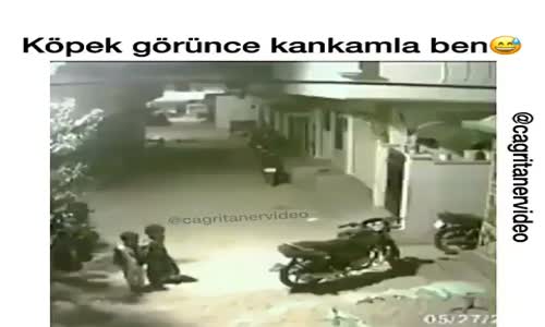 Köpek Görünce Kankamla Ben