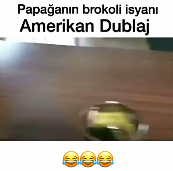 Veysel Zaloğlu  Brokoli Dublaj