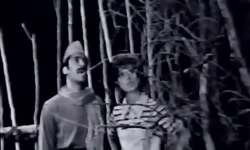 Marwan Mahfouz - Ya Tayr Elhazeen مروان محفوظ  يا طير الحزين 