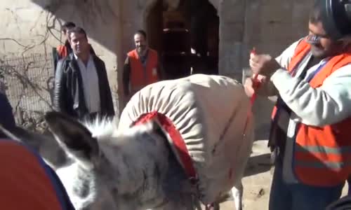 Mardin'de Emekli Edilen Kadrolu Üç Eşek