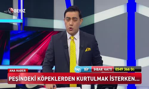 Peşindeki köpeklerden kurtulmak isterken…