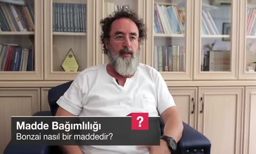 Bonzai Nasıl Bir Maddedir