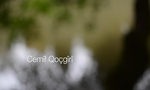 Cemîl Qoçgîrî - Şîya Sanî