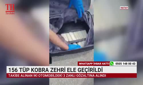 156 TÜP KOBRA ZEHRİ ELE GEÇİRİLDİ