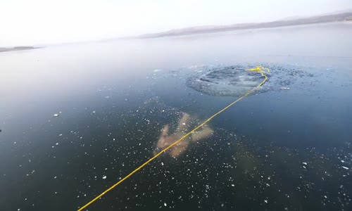 Buzlu Suda Serbest Dalış Yapan Adrenalin Tutkunu Adam