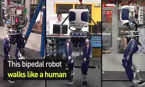 İnsan Gibi Yürüyor ve Görüyorlar- Robotların Geleceği Ne Olacak