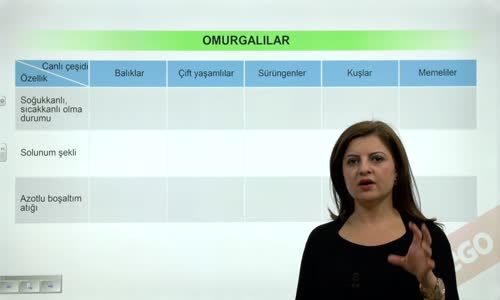 EBA BİYOLOJİ LİSE - CANLILARIN SINIFLANDIRILMASI VE CANLI ALEMLERİ - HAYVANLAR ALEMİ - OMURGALILAR - OMURGALILARIN KARŞILAŞTIRILMASI