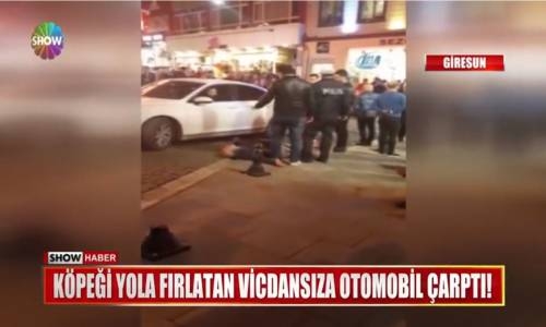 Köpeği Yola Fırlatan Vicdansıza Otomobil Çarptı