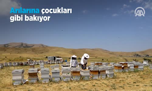 Arılarına Çocukları Gibi Bakıyor