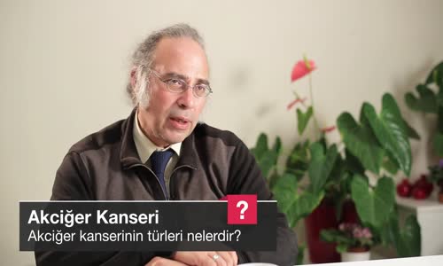 Akciğer Kanserinin Türleri Nelerdir