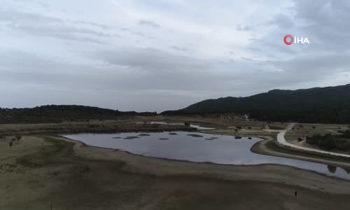 Kuraklık ‘Kuş Cenneti’ni de Vurdu 