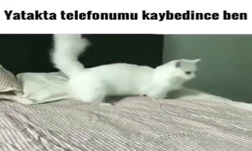 Yatakta Telefonumu Kaybedince Ben