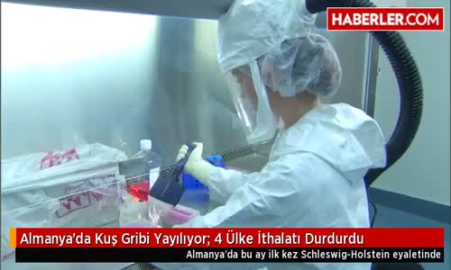 Almanya'da Kuş Gribi(Mavi Ölüm)  4 Ülke İthalatı Durdurdu