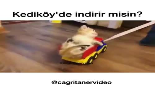 Kediköy'de İndirir Misin