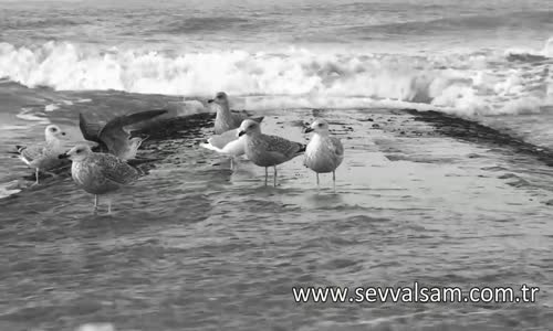 Şevval Sam - Hey Gidi Karadeniz - Ander Sevdaluk - Yeni Klip 2013