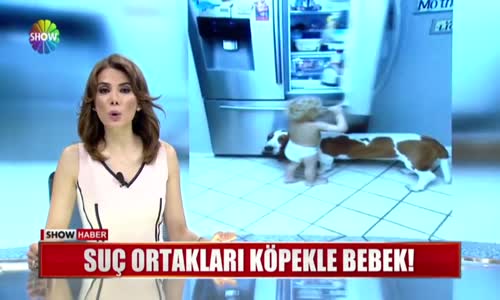 Suç Ortakları Köpekle Bebek