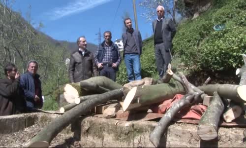 Rize'de Psikolojisi Bozuk Ayı