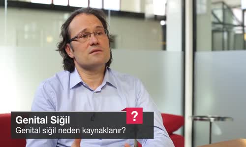 Genital Siğil Neden Kaynaklanır