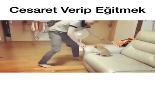 Cesaret Verip Eğitmek