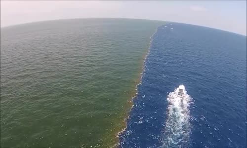 Mississippi Nehri'nin Meksika Körfeziyle Buluştuğu Yer Ölü Bölge 