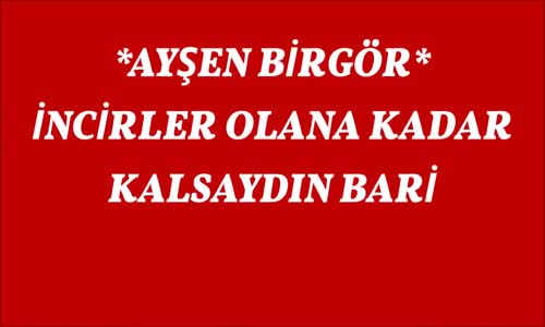 Ayşen Birgör   İncirler Olana Kadar...