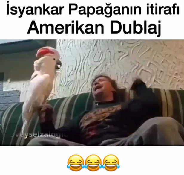 Veysel Zaloğlu Papagan Dublaj