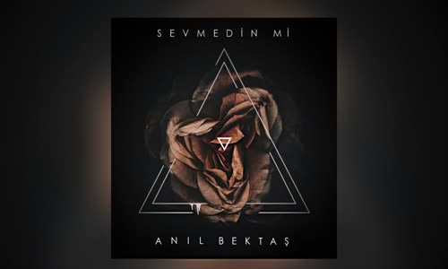 Anıl Bektaş - Sevmedin Mi