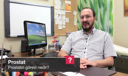 Prostatın Görevi Nedir