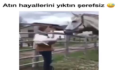 Atın Hayallerini Yıktın Şerefsiz