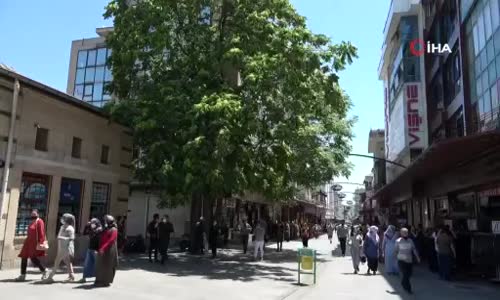 Gaziantep’te tedirgin eden görüntü 