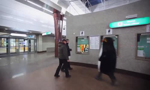 Metronun İçine Doluşan Penguenler 