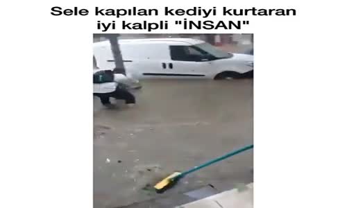 Sele Kapılan Kediyi Kurtaran İyi Kalpli İnsan