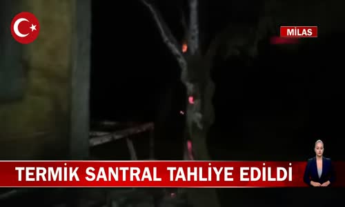 Muğla Milas'ta Yangın Termik Santrali'ne Kadar Ulaştı! İşte Görüntüler