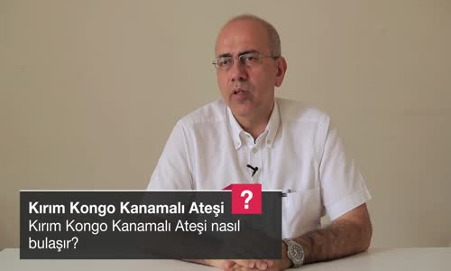 Kırım Kongo Kanamalı Ateşi Nasıl Bulaşır