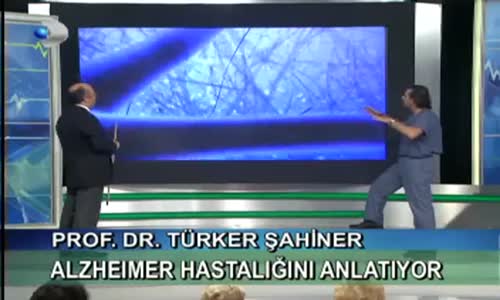 Alzheimer Hastalığını Hızlandıran Nedir