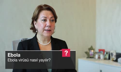 Ebola Virüsü Nasıl Yayılır