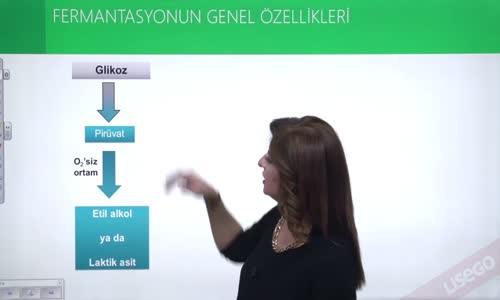 EBA BİYOLOJİ LİSE - HÜCRESEL SOLUNUM - GLİKOZ VE OKSİJENSİZ SOLUNUM - FERMANTAYONUN GENEL ÖZELLİKLERİ