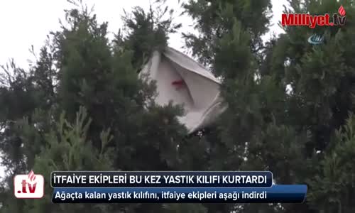 Yastık Kılıfları Ağaçta Kalan Kadının İtfaiye'yi Araması