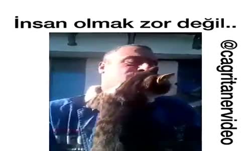 Koca Yürekli Adam