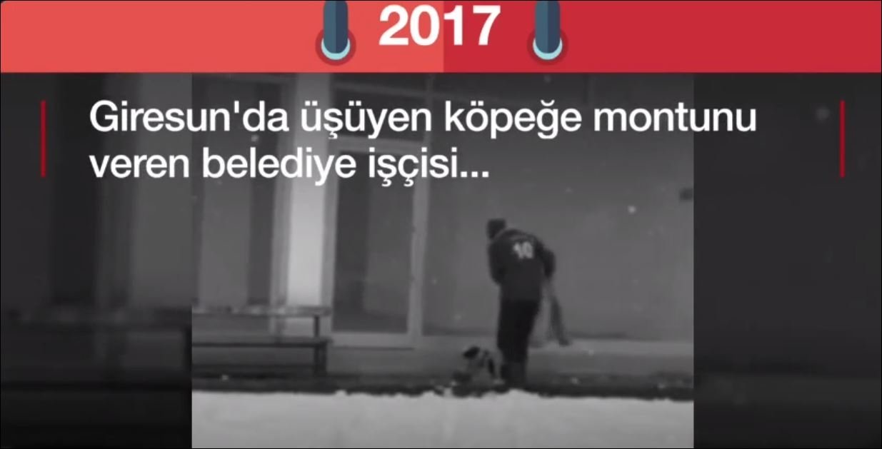 Türkiye'den 2017'nin Umut Veren Hikayeleri 