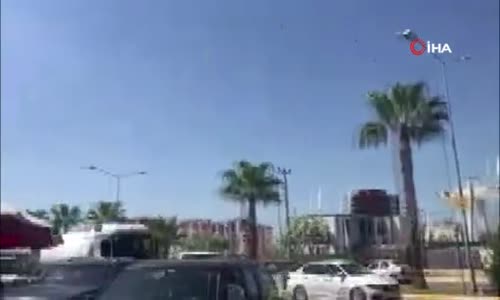 Mersin'de karayolunda ilginç görüntü 