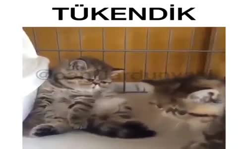 Tükendik