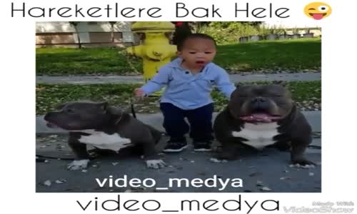 Çocuğun Köpek Hareketi Yapması