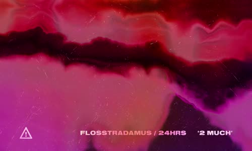 Flosstradamus - 2 Much Feat. 24hrs 