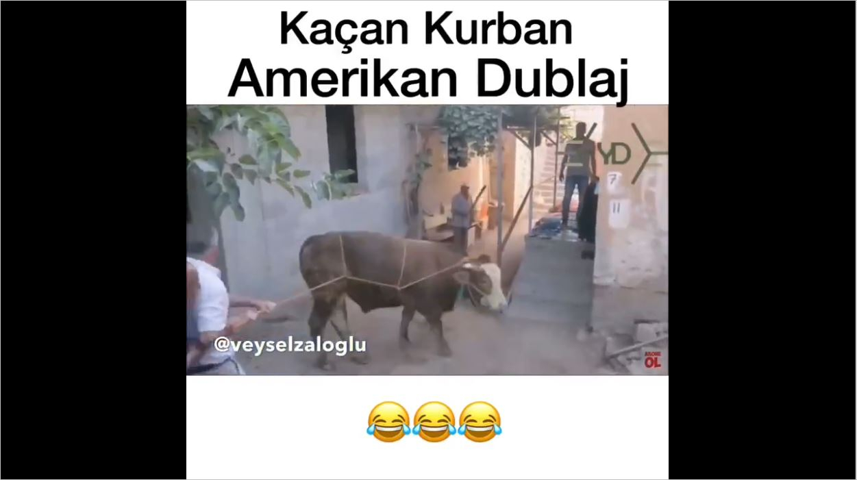 Kaçan Kurban - Amerikan Dublaj