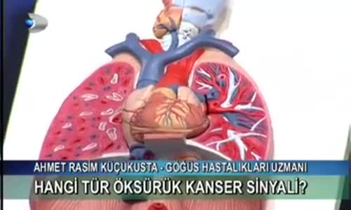 Akciğer Nakli Nasıl Yapılır