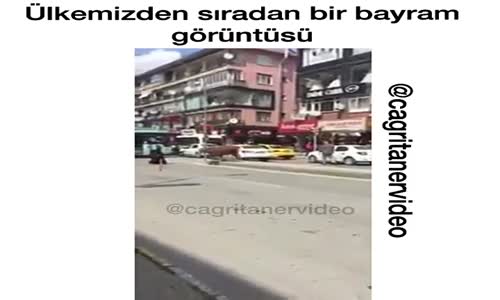 Teyzeye Kafa Atan Kurbanlık Boğa