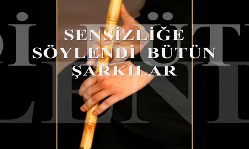 Sensizliğe Söylendi Bütün Şarkılar  Hülya Sözer