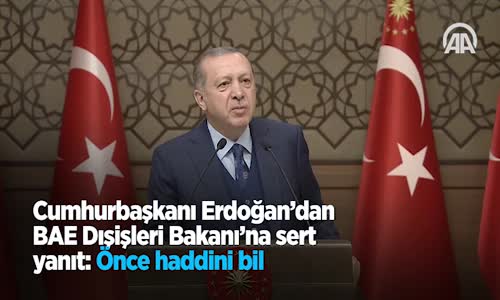 Cumhurbaşkanı Erdoğan'dan BAE Dışişleri Bakanı'na Sert Yanıt  Önce Haddini Bil 