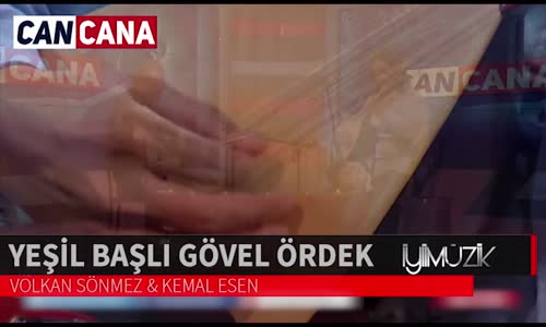 Volkan Sönmez & Kemal Esen  Yeşil Başlı Gövel Ördek